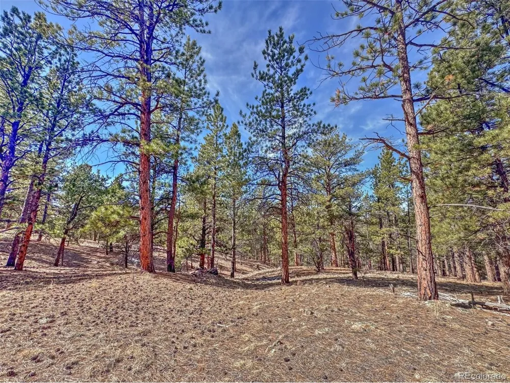 426 Arapaho Road Westcliffe, CO 81252