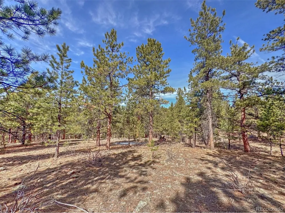 426 Arapaho Road Westcliffe, CO 81252