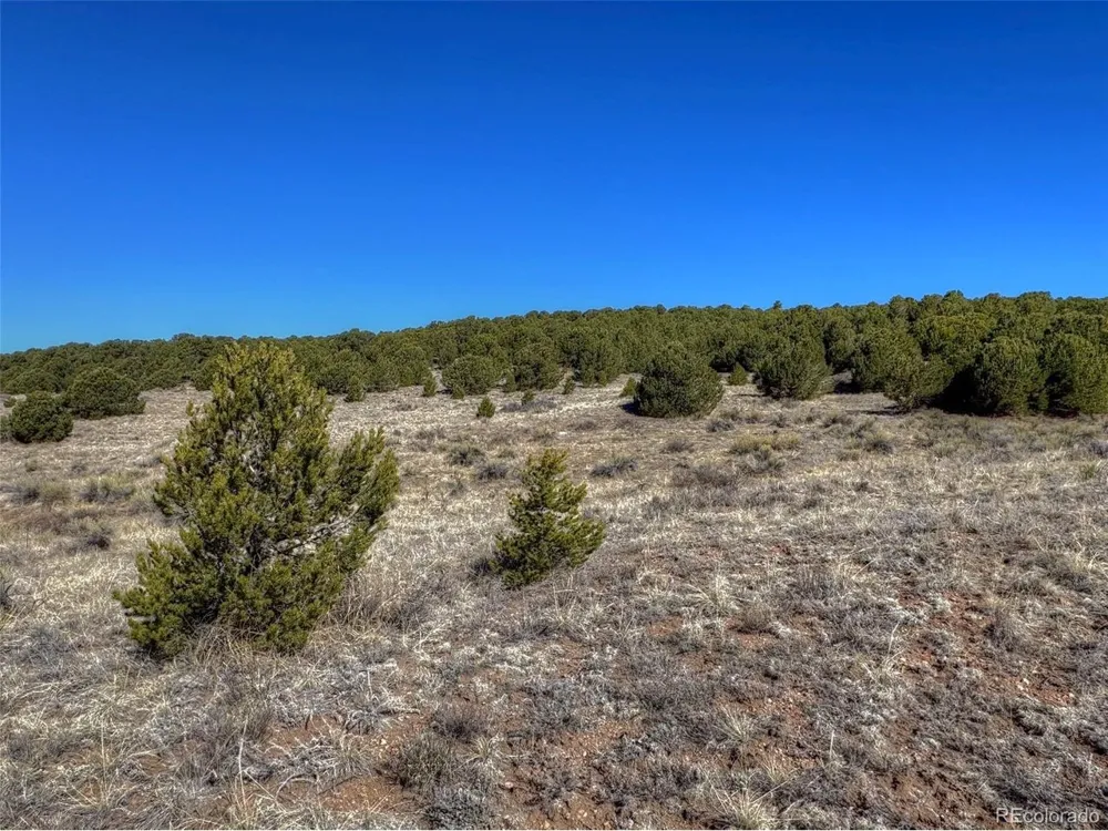 885 Crow Road Westcliffe, CO 81252