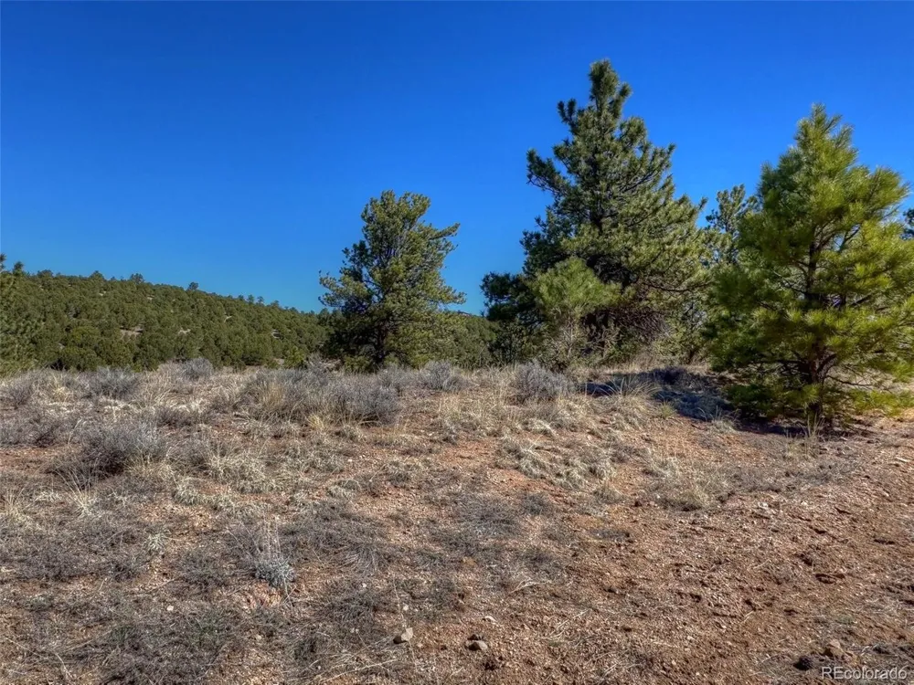 885 Crow Road Westcliffe, CO 81252