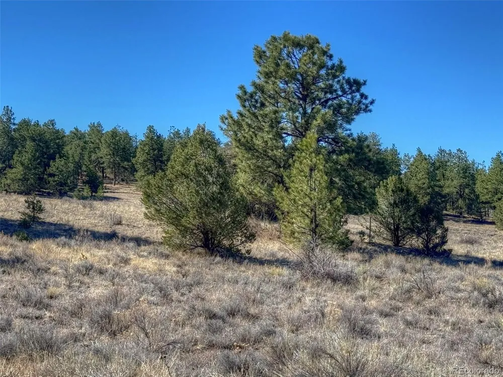885 Crow Road Westcliffe, CO 81252