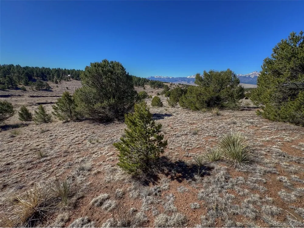 885 Crow Road Westcliffe, CO 81252
