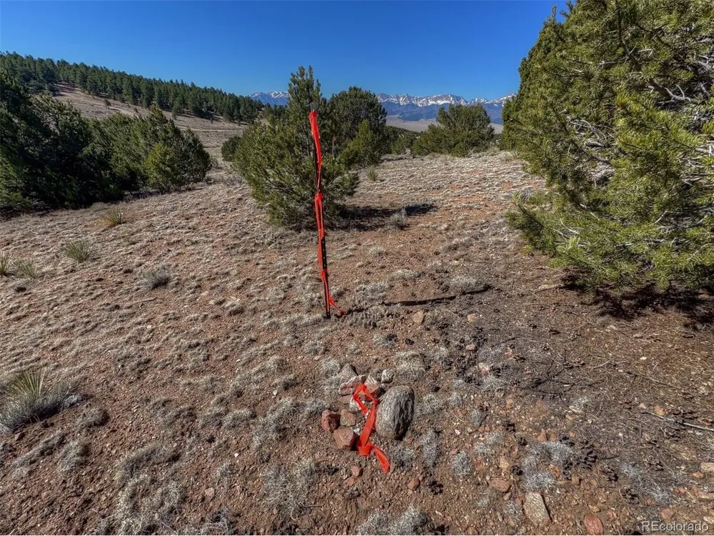 885 Crow Road Westcliffe, CO 81252