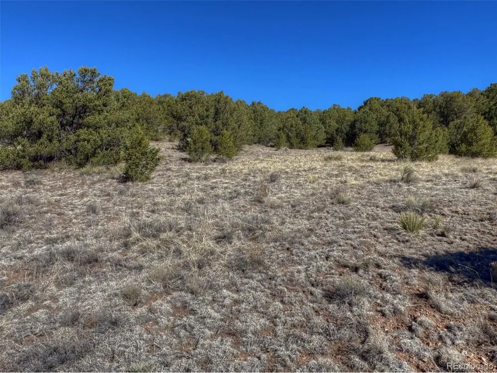 885 Crow Road Westcliffe, CO 81252