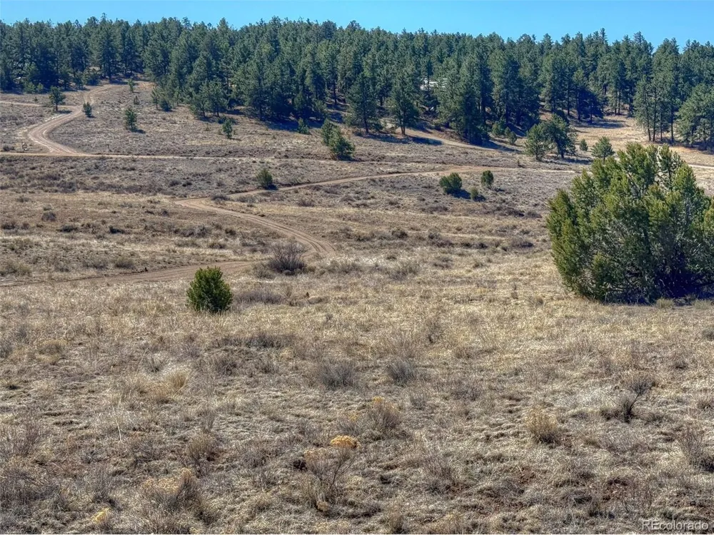 885 Crow Road Westcliffe, CO 81252