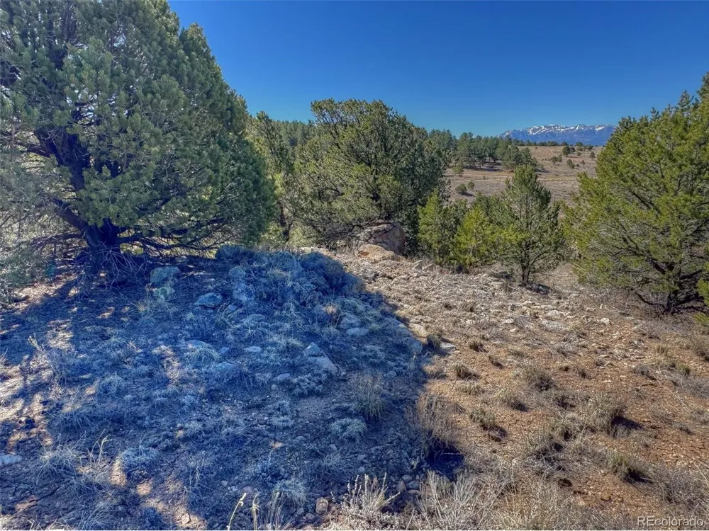 885 Crow Road Westcliffe, CO 81252