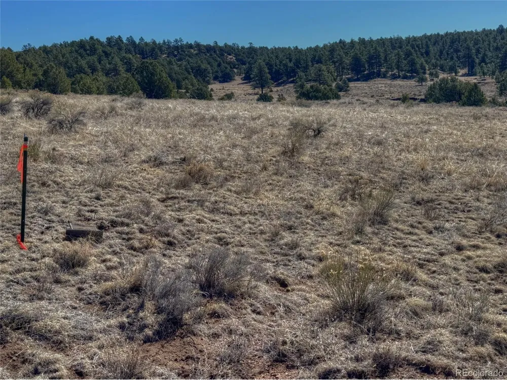 885 Crow Road Westcliffe, CO 81252