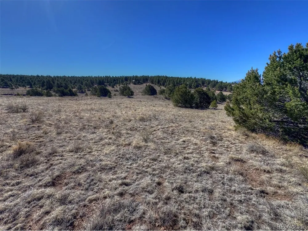 885 Crow Road Westcliffe, CO 81252