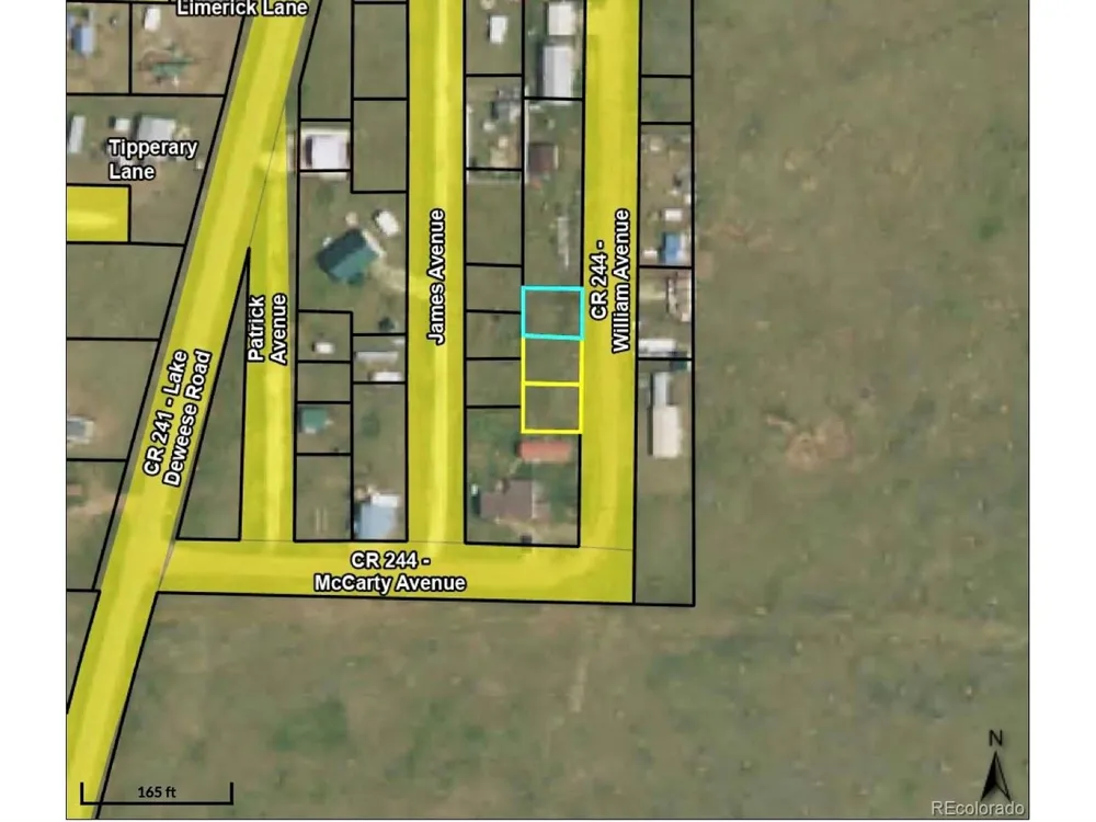35 Williams Avenue Westcliffe, CO 81252