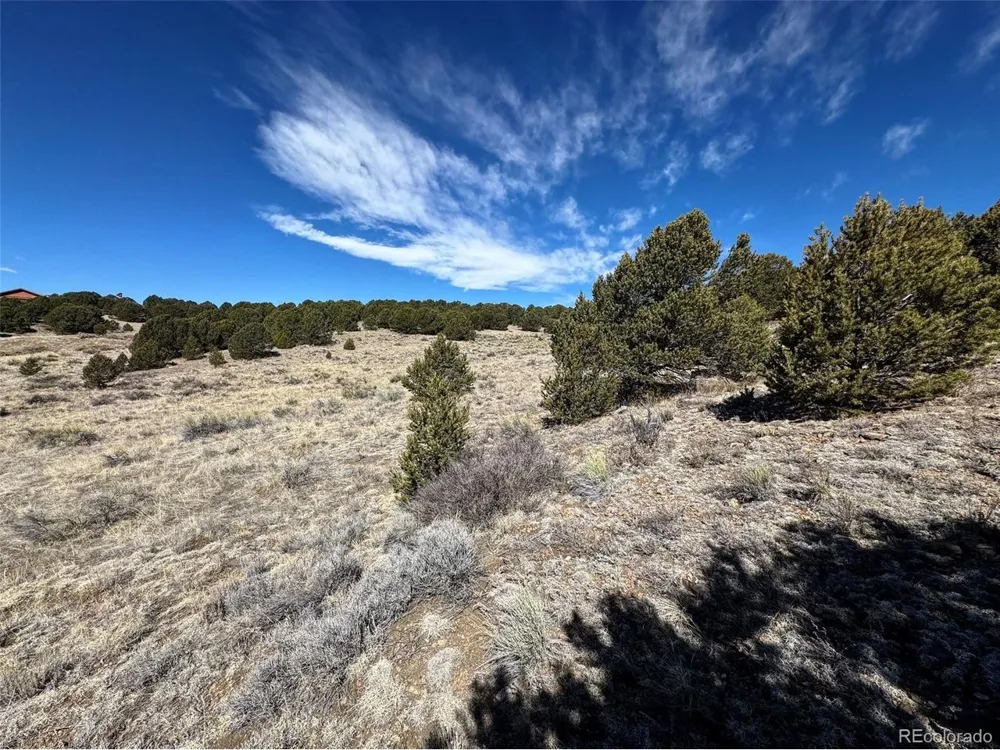 514 Kiowa Road Westcliffe, CO 81252