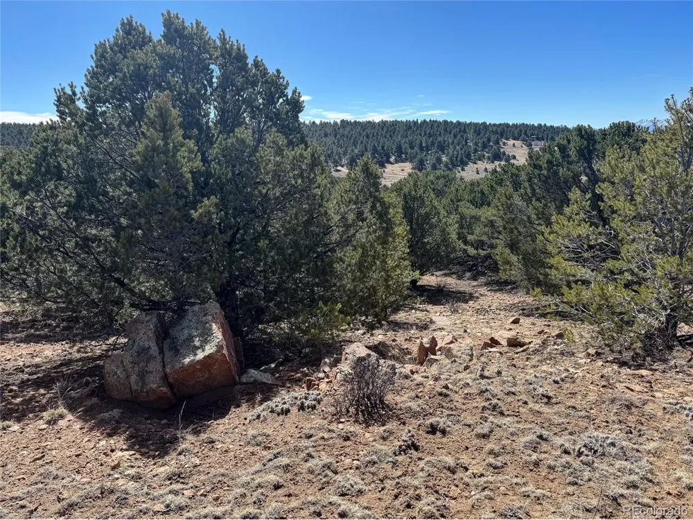 514 Kiowa Road Westcliffe, CO 81252