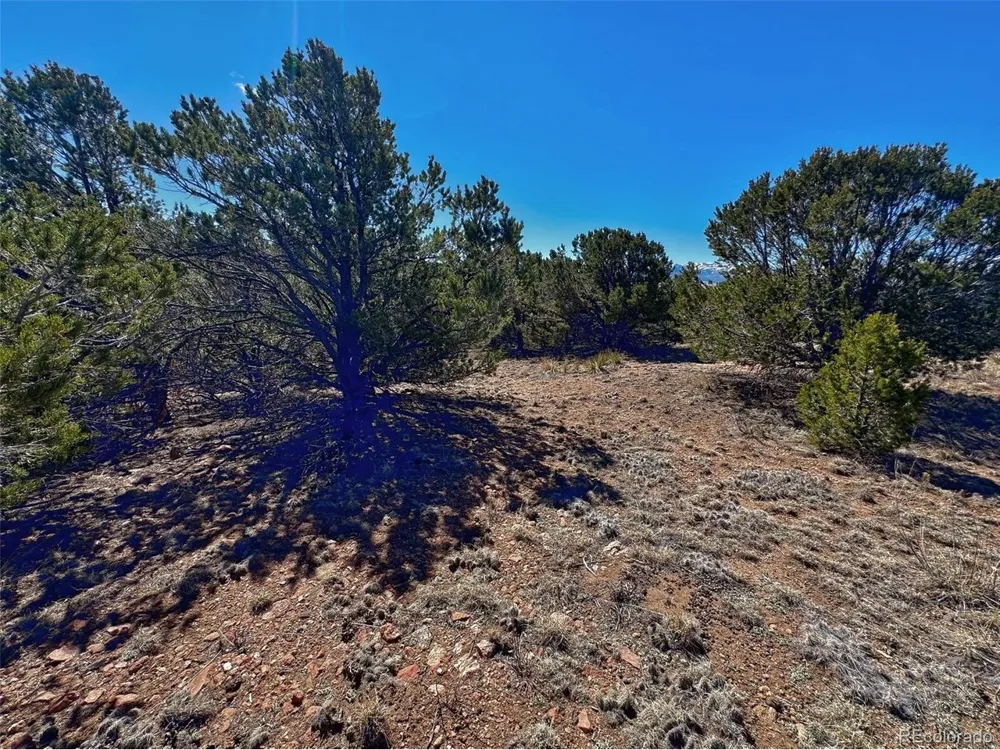 514 Kiowa Road Westcliffe, CO 81252