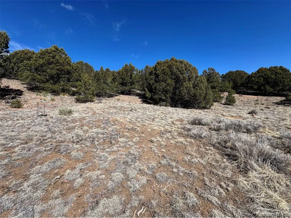 514 Kiowa Road Westcliffe, CO 81252