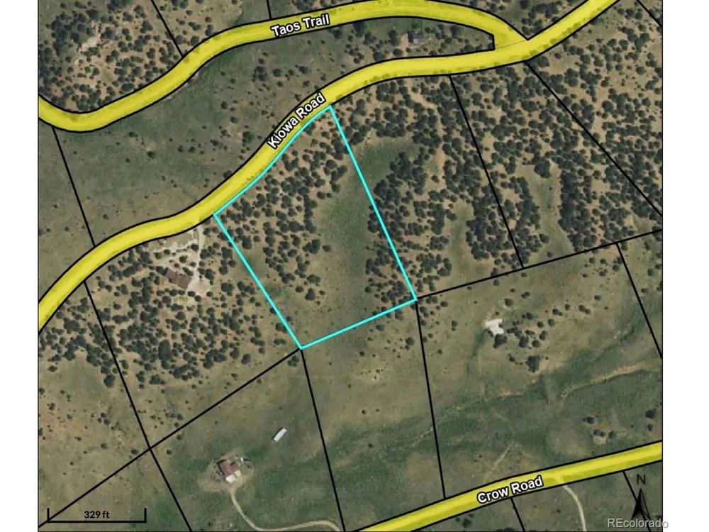 514 Kiowa Road Westcliffe, CO 81252