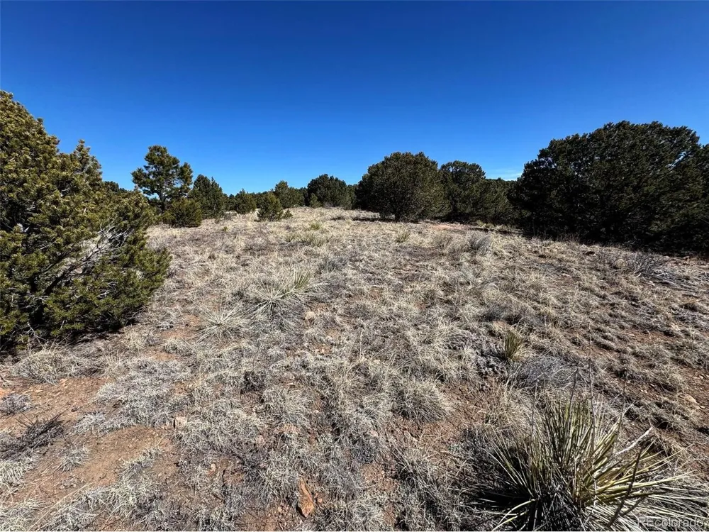 514 Kiowa Road Westcliffe, CO 81252