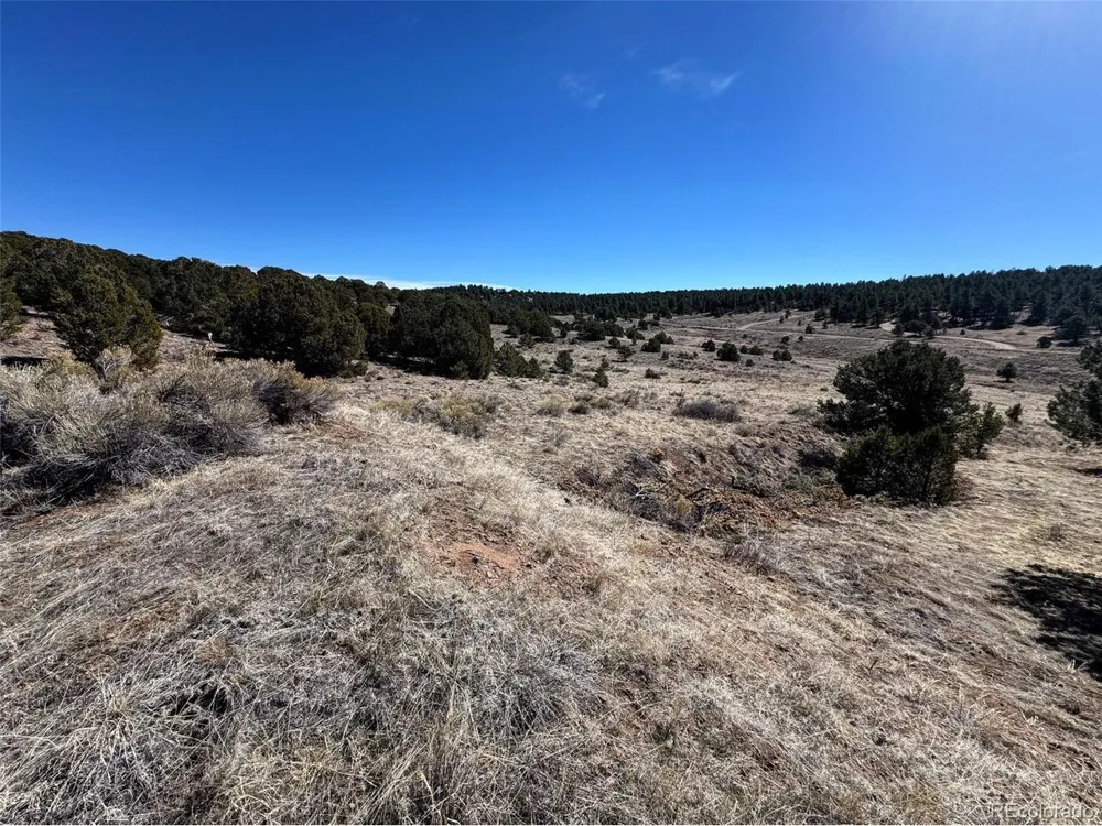 514 Kiowa Road Westcliffe, CO 81252