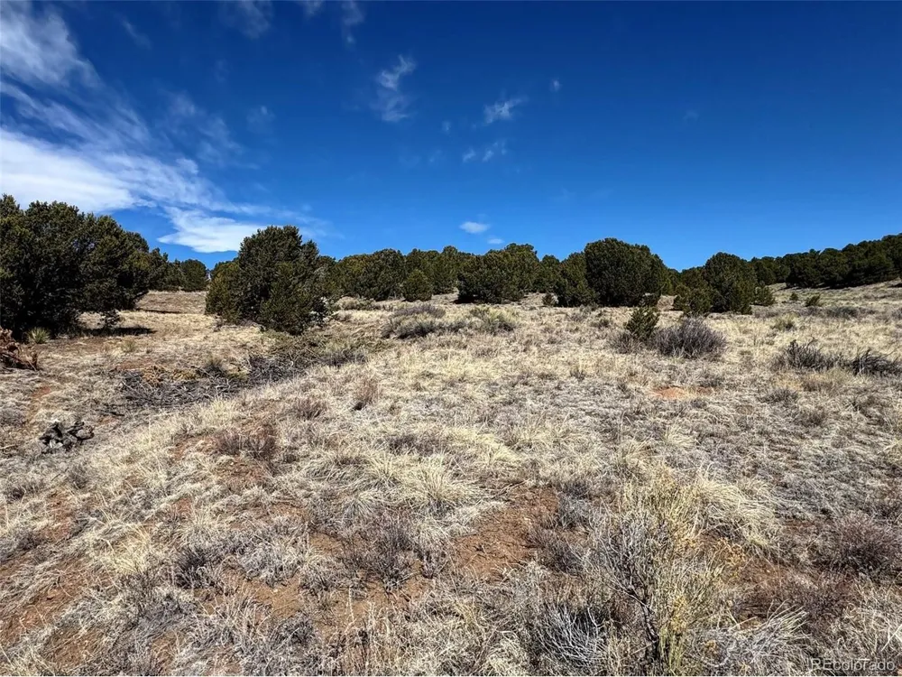 514 Kiowa Road Westcliffe, CO 81252