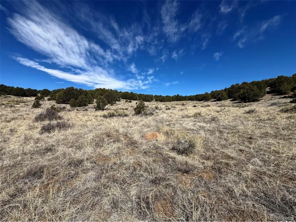 514 Kiowa Road Westcliffe, CO 81252