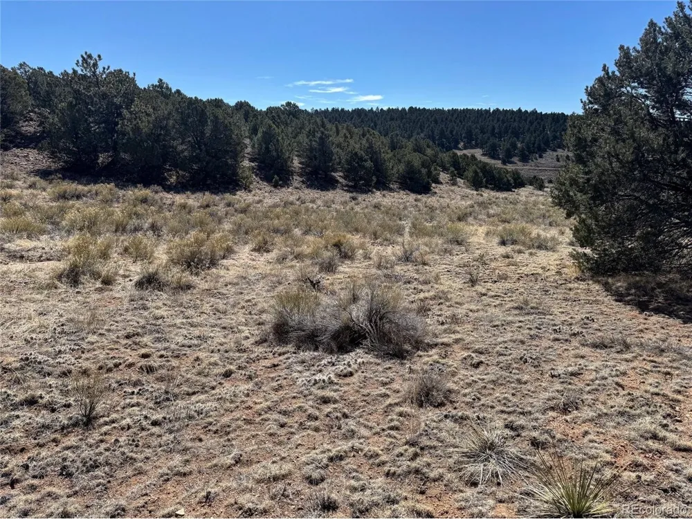 514 Kiowa Road Westcliffe, CO 81252