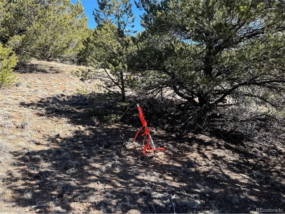 514 Kiowa Road Westcliffe, CO 81252