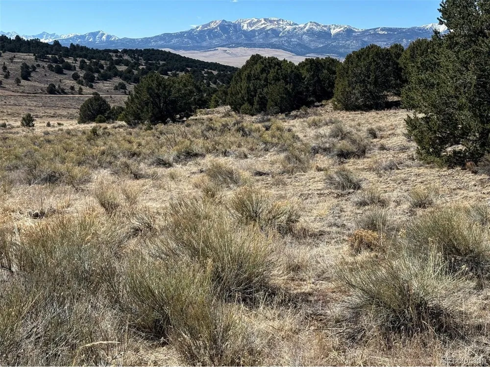 514 Kiowa Road Westcliffe, CO 81252