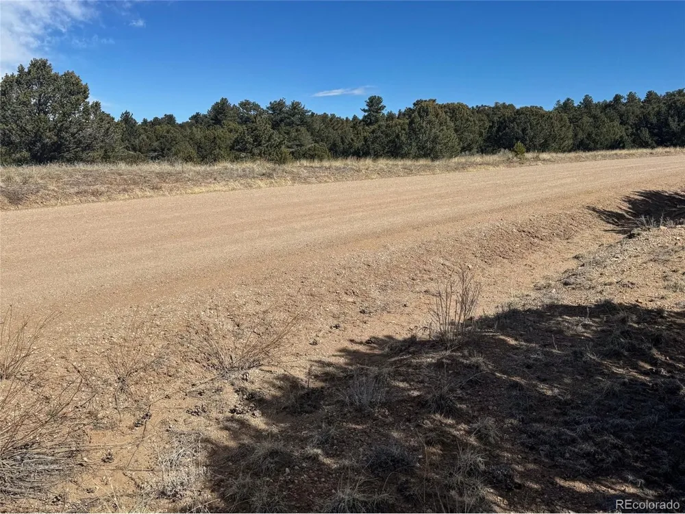 514 Kiowa Road Westcliffe, CO 81252