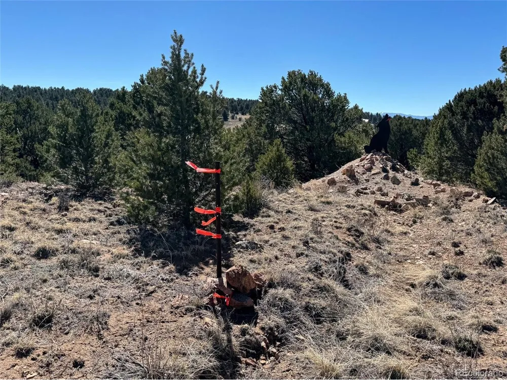 514 Kiowa Road Westcliffe, CO 81252