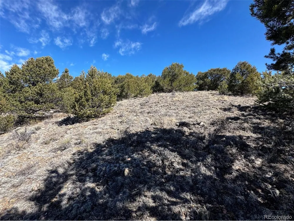 514 Kiowa Road Westcliffe, CO 81252