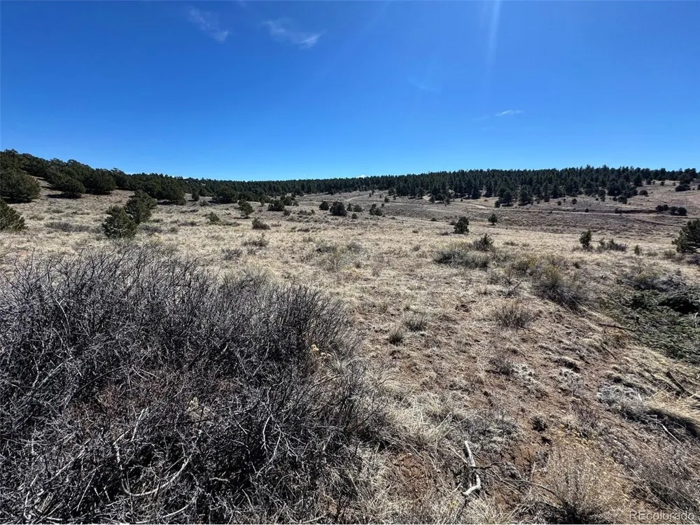 514 Kiowa Road Westcliffe, CO 81252