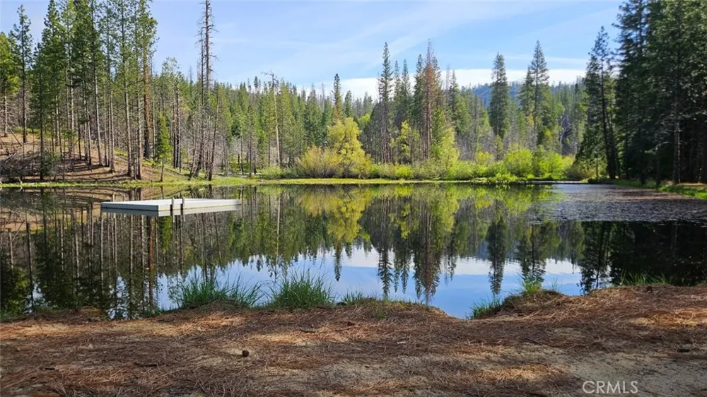 46336 Silvertip North Fork, CA 93643