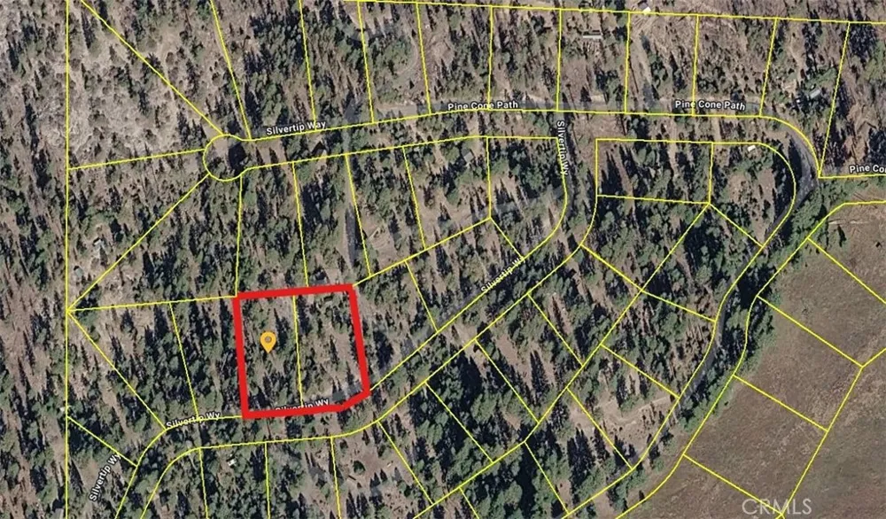 46336 Silvertip North Fork, CA 93643