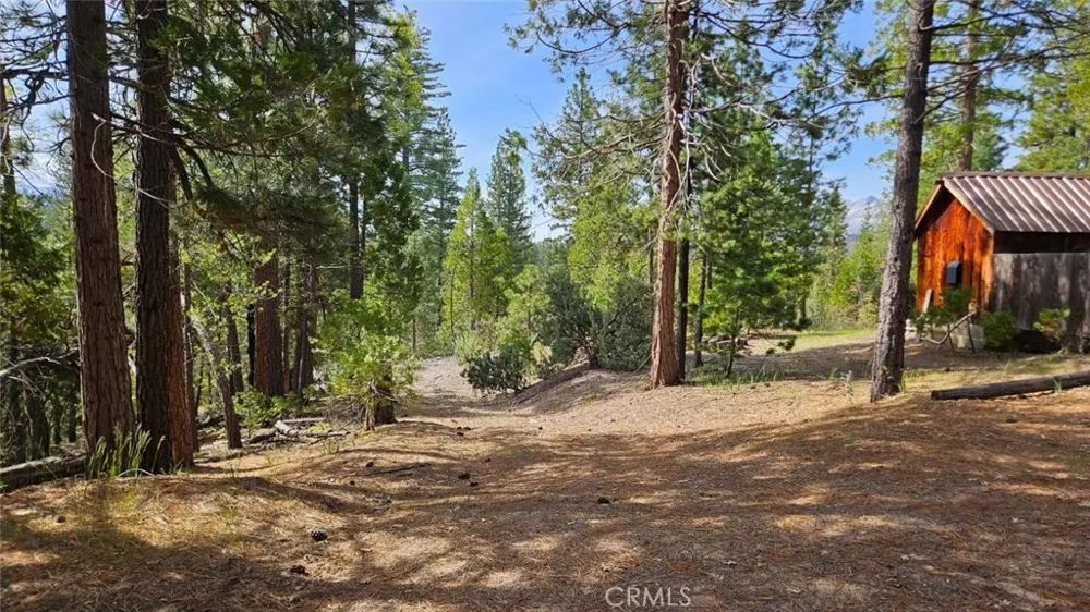 46336 Silvertip North Fork, CA 93643