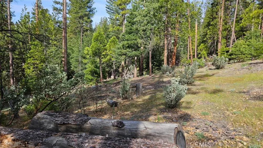 46336 Silvertip North Fork, CA 93643