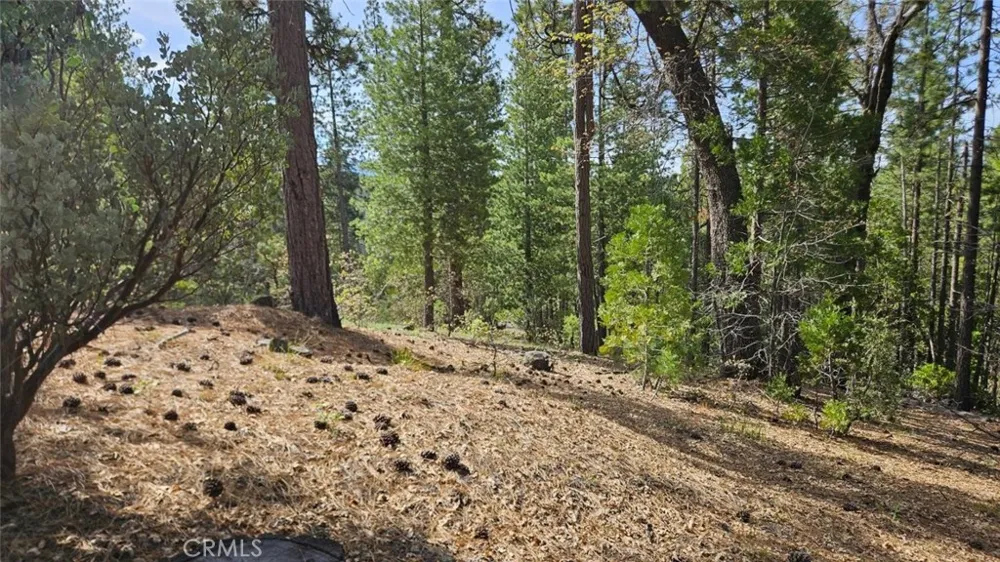 46336 Silvertip North Fork, CA 93643
