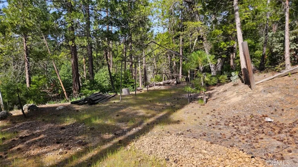 46336 Silvertip North Fork, CA 93643