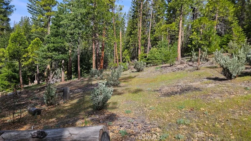 46336 Silvertip North Fork, CA 93643