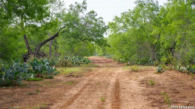 5797 Fm 3408 Cotulla, TX 78014