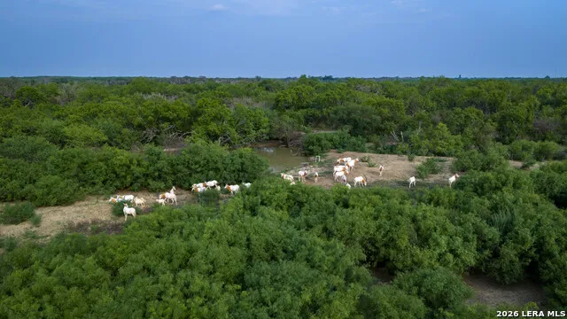 5797 Fm 3408 Cotulla, TX 78014