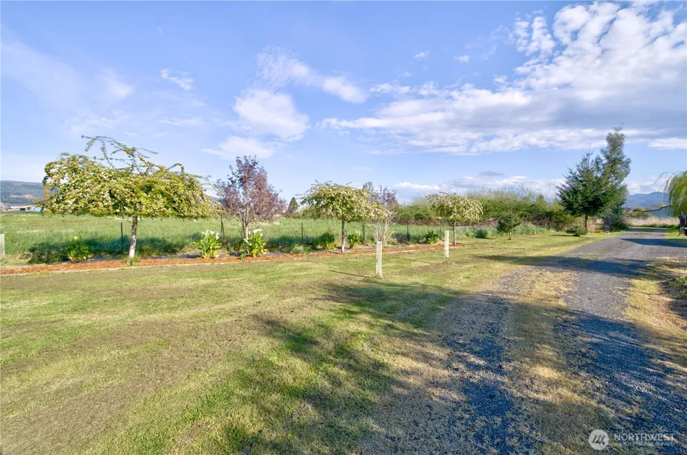 31 Blue Skies Lane Cathlamet, WA 98612