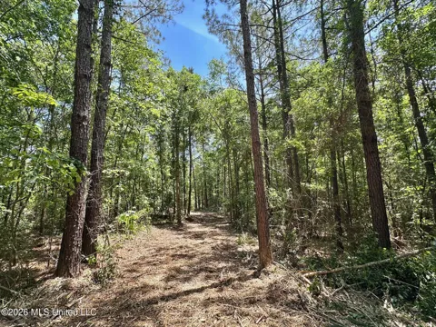 2 Mcnair Springs Road