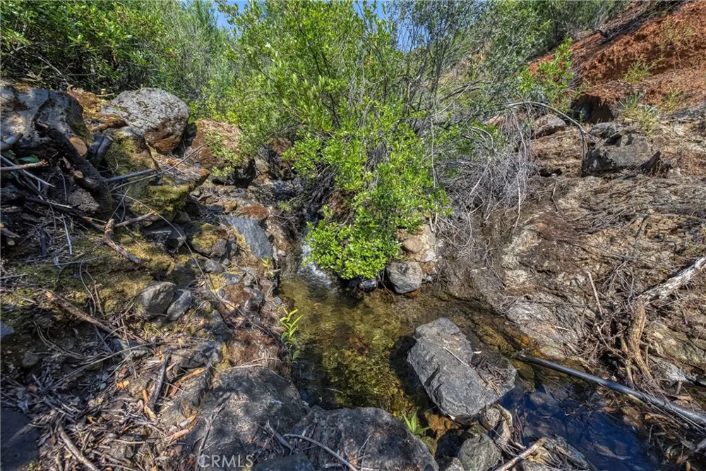 1 Butts Canyon Road Pope Valley, CA 94567
