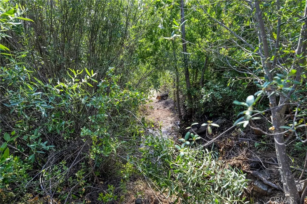 1 Butts Canyon Road Pope Valley, CA 94567