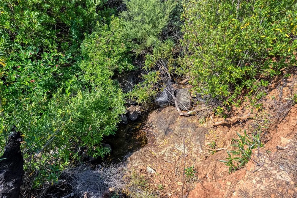 1 Butts Canyon Road Pope Valley, CA 94567