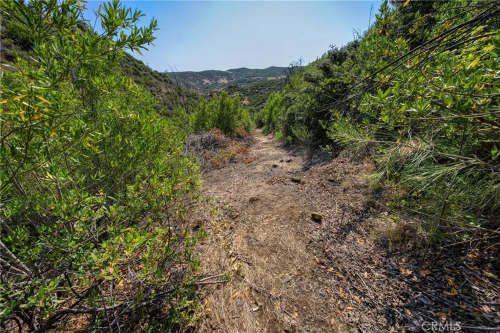 1 Butts Canyon Road Pope Valley, CA 94567