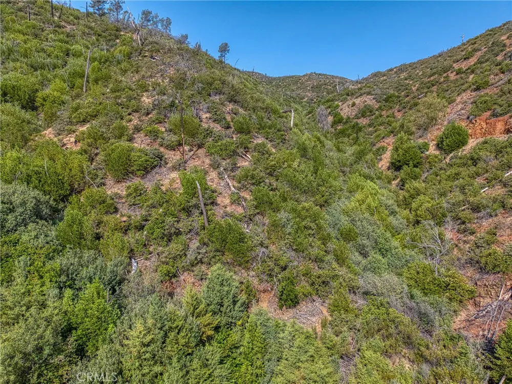 1 Butts Canyon Road Pope Valley, CA 94567