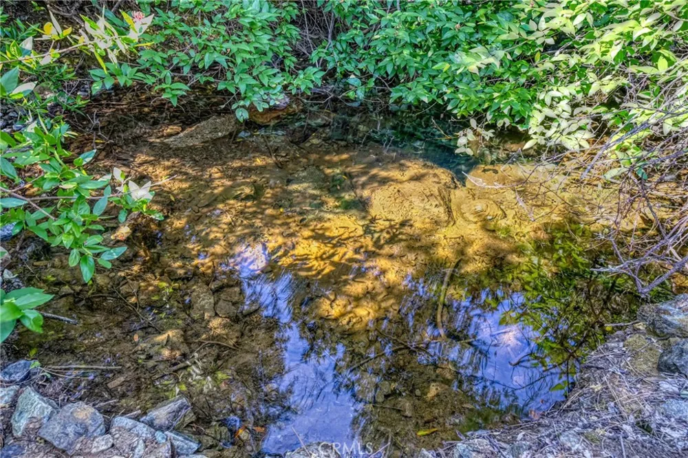 1 Butts Canyon Road Pope Valley, CA 94567