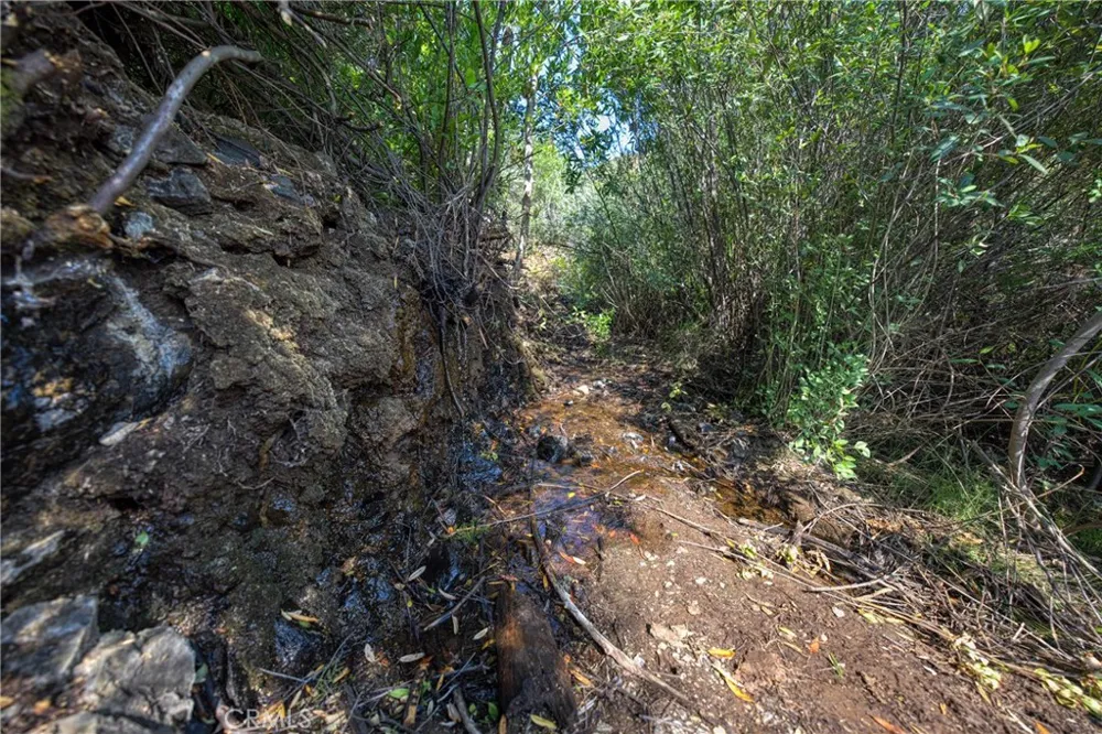 1 Butts Canyon Road Pope Valley, CA 94567
