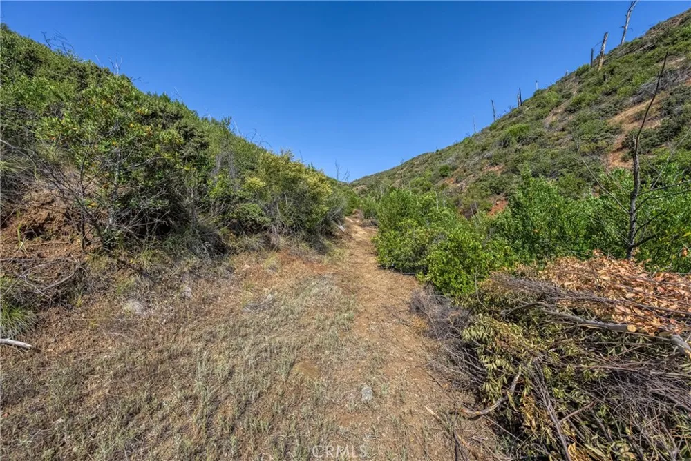 1 Butts Canyon Road Pope Valley, CA 94567