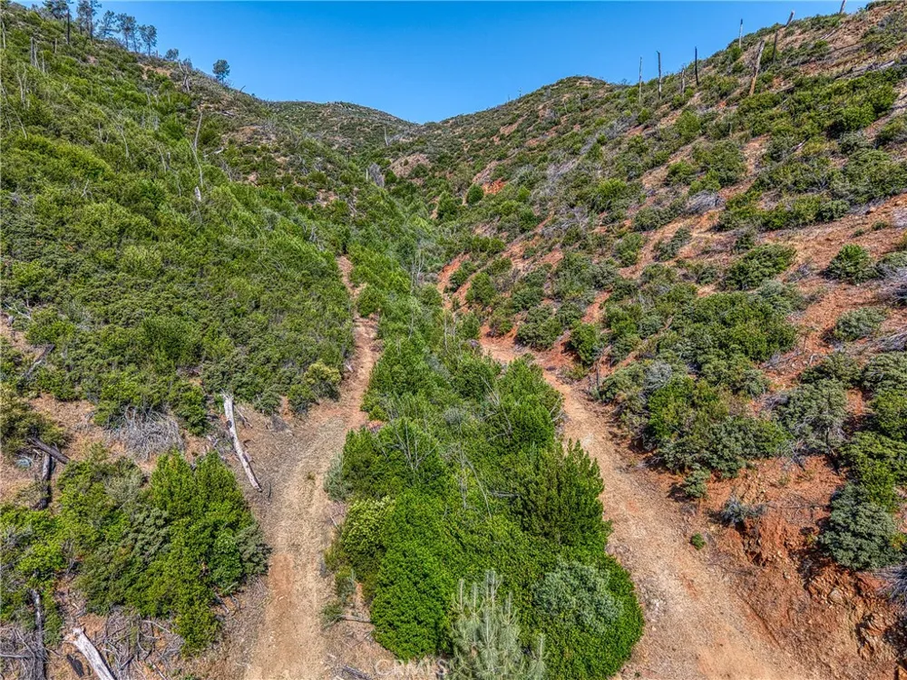 1 Butts Canyon Road Pope Valley, CA 94567