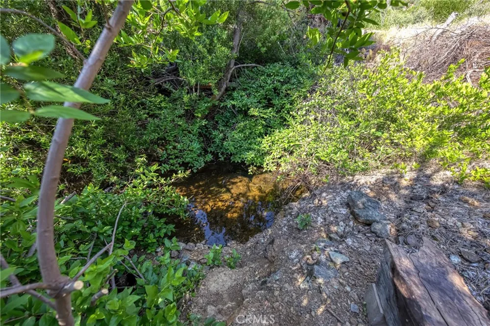 1 Butts Canyon Road Pope Valley, CA 94567